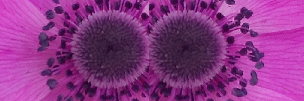 TAMAKINOO's profile banner image