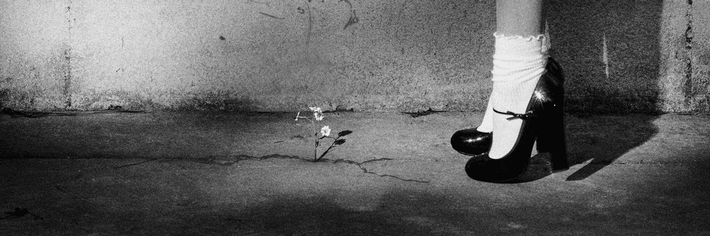 diorchuz's profile banner image