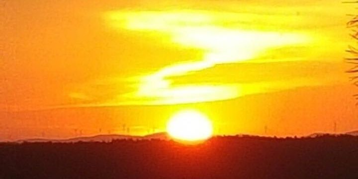 alerta!naranja banner