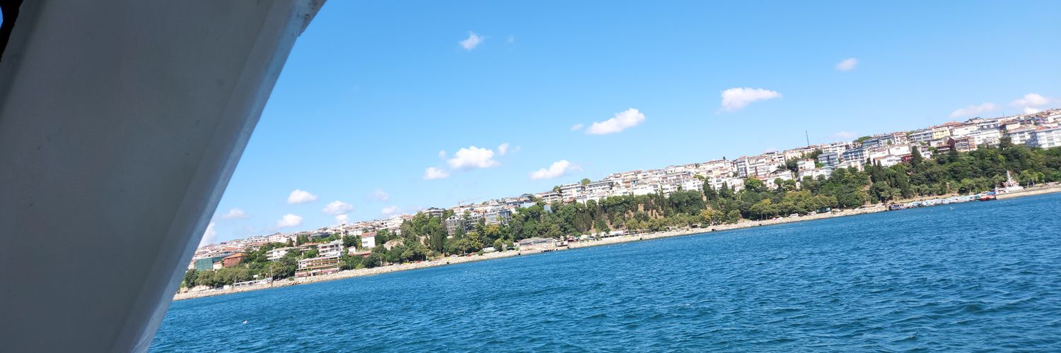 Barış banner