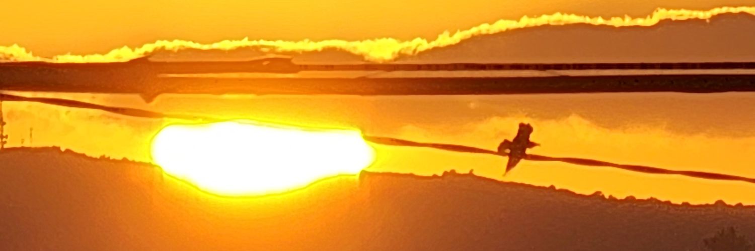 StaZito's profile banner image