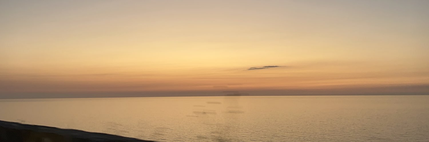 littlemrstar's profile banner image