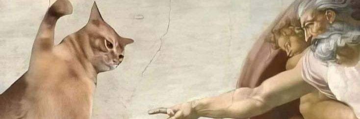 besamonteiro's profile banner image
