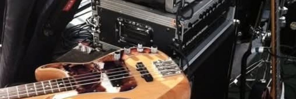 Florida Swamp Puppy banner