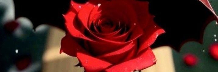 antoniop798's profile banner image