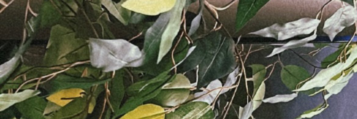 Trevina 💙 banner