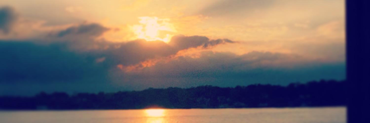 _SusanWillis's profile banner image
