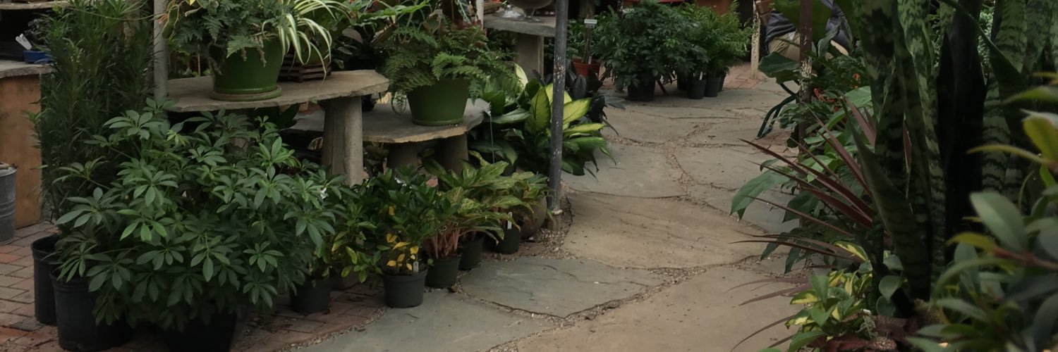 William_231's profile banner image