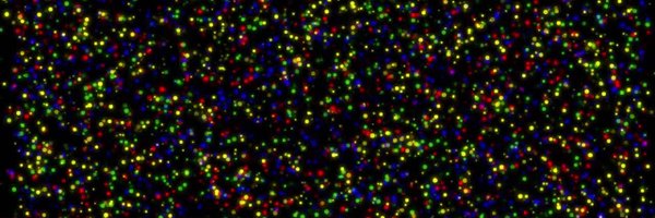 RadOncDoc_Niema Profile Banner