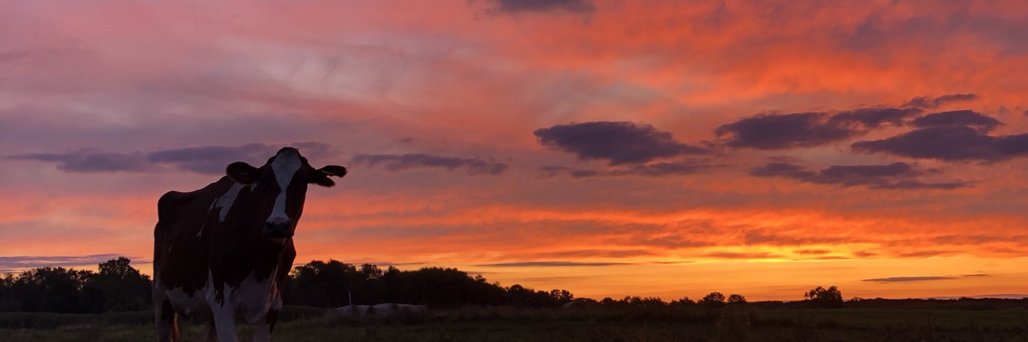 MariahDaninger's profile banner image