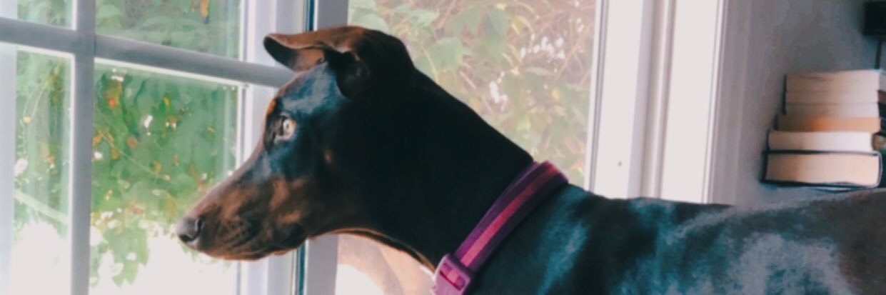 Its_LexMarie's profile banner image