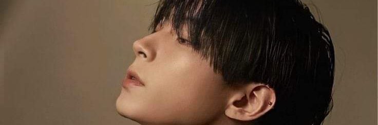 whennafeehily's profile banner image