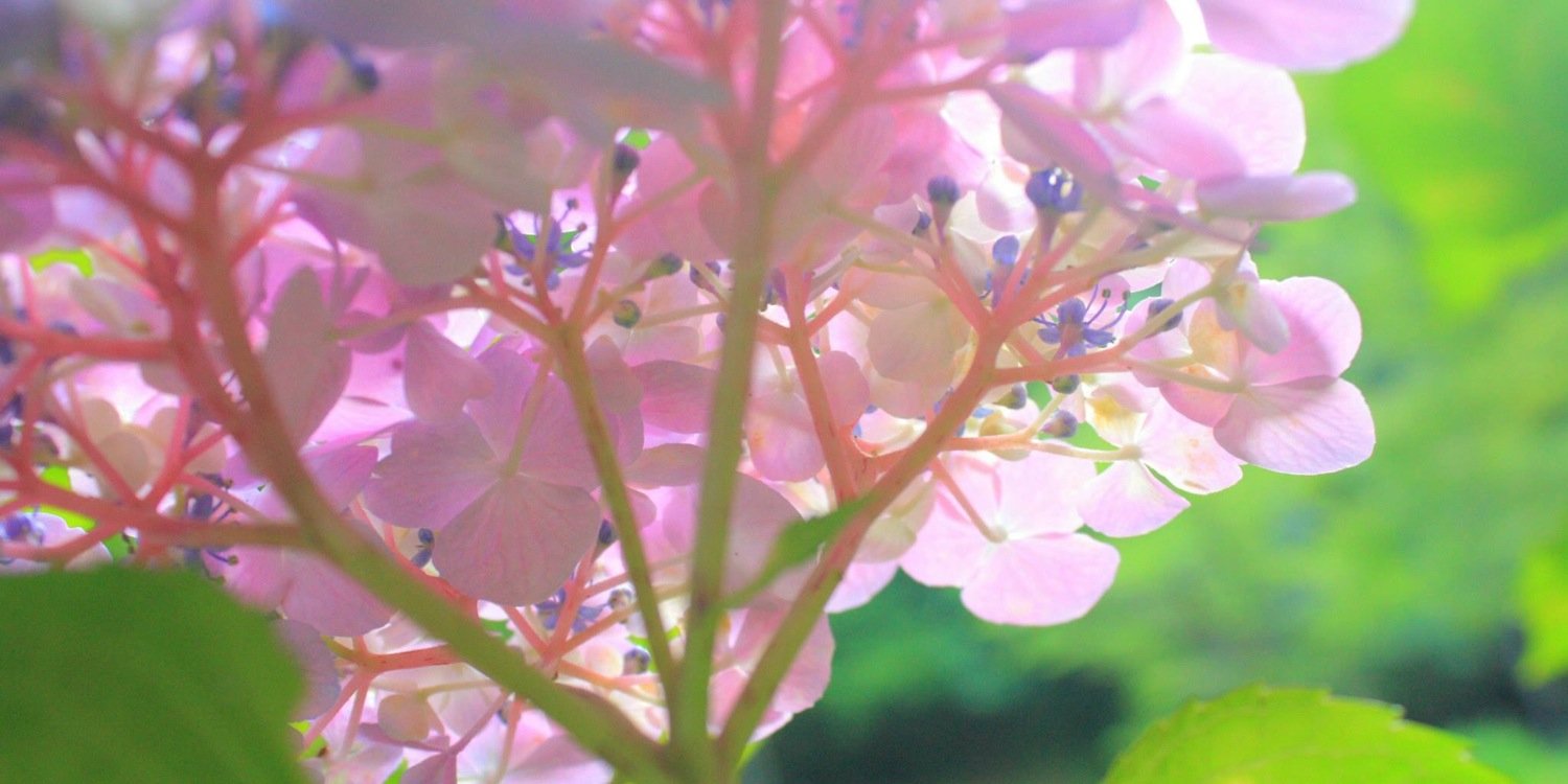 xo_0716's profile banner image