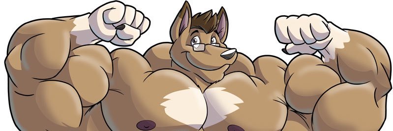 Senryo banner