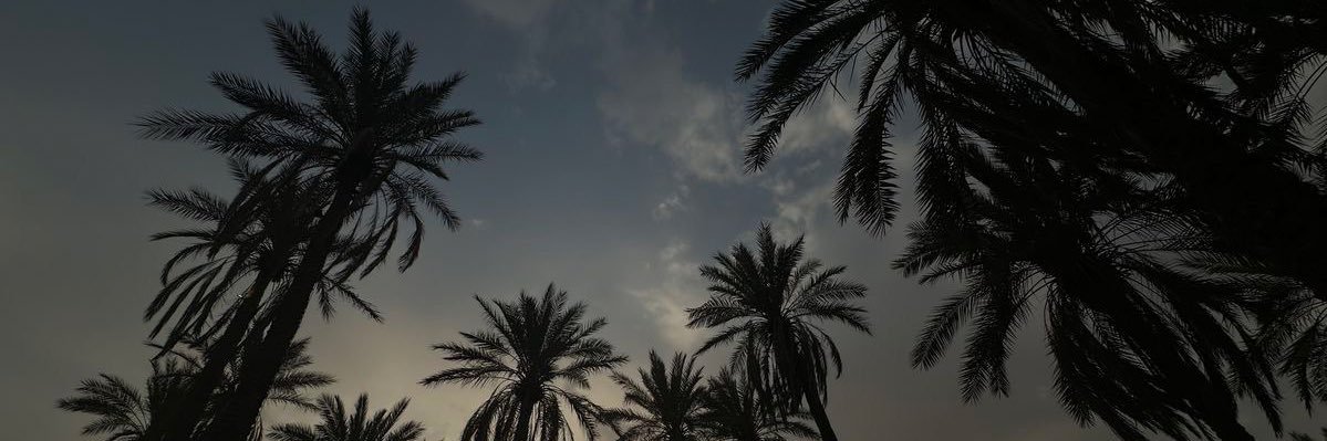 Latifa. banner