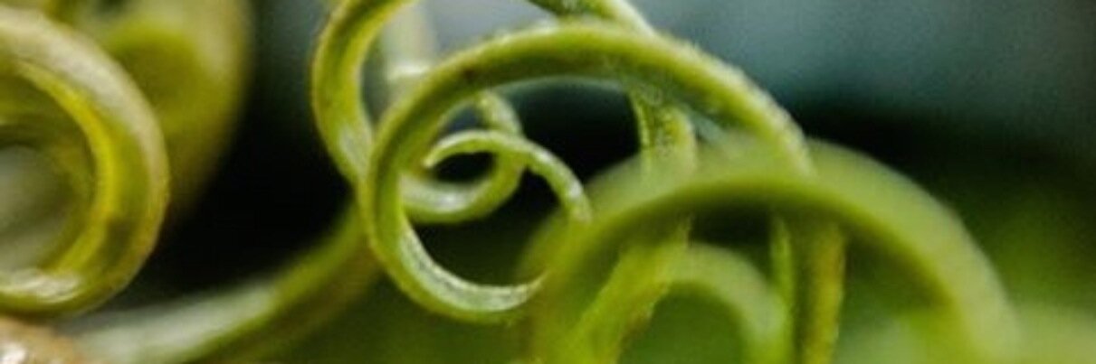 UpSpiralCenter's profile banner image