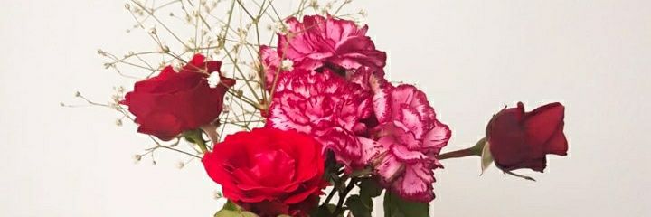 TefyMoriconi's profile banner image