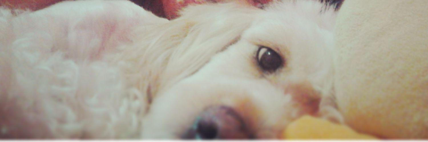KLucero_'s profile banner image