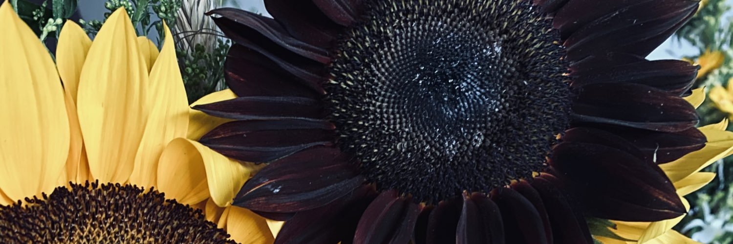 arirodo16's profile banner image
