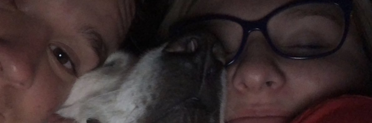 Halmich_22's profile banner image