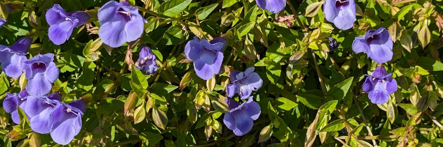 よしひろ🚌 banner