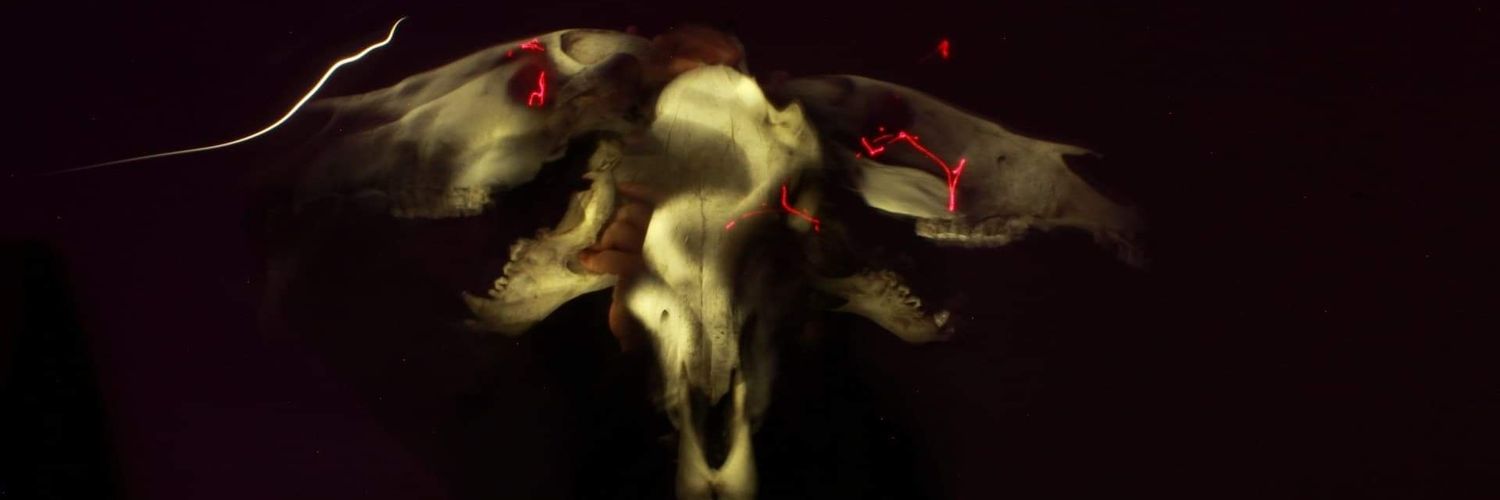 Nenigoor's profile banner image