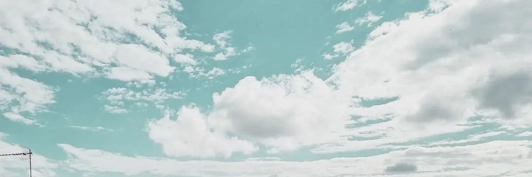 ZoroTnT banner