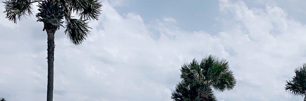 emmalucas__'s profile banner image