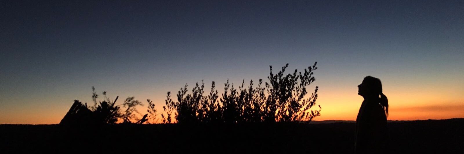 MelissaBrunll's profile banner image