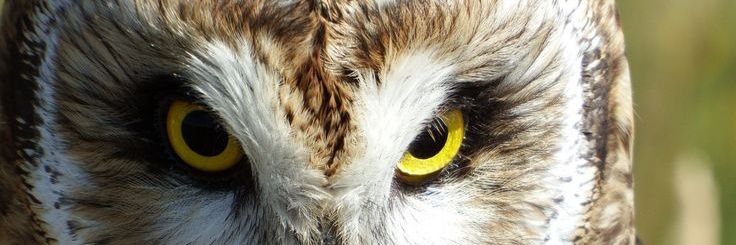 KANIGORO_HeLL's profile banner image