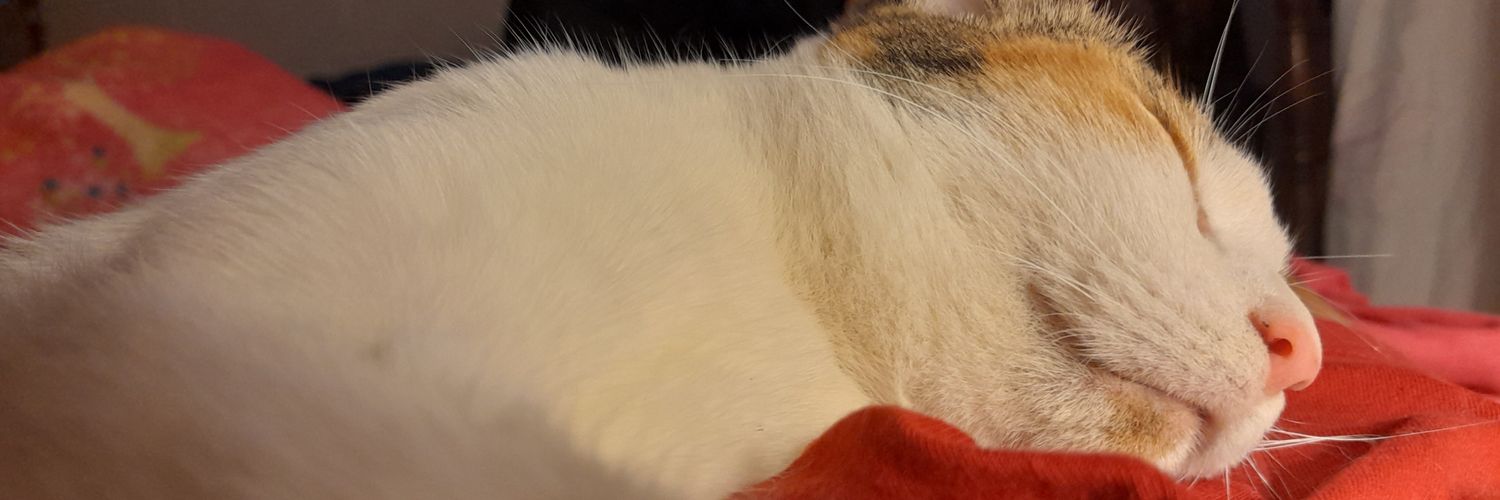 _valemoyano's profile banner image