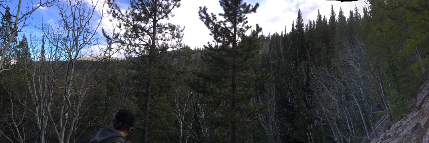 TSteph24's profile banner image