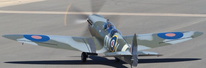 Carolyn Grace banner