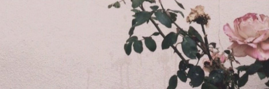 miss you everyday 🌹 banner