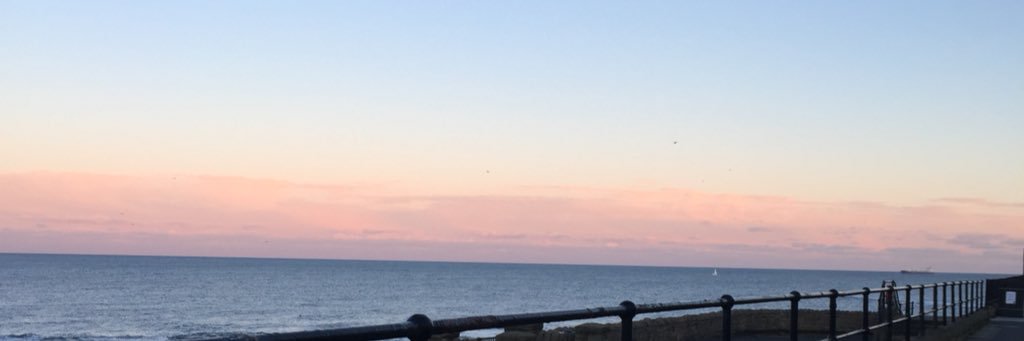 Victoria Shimmens ♛ banner