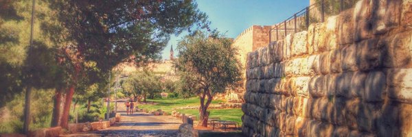 liuliu Profile Banner