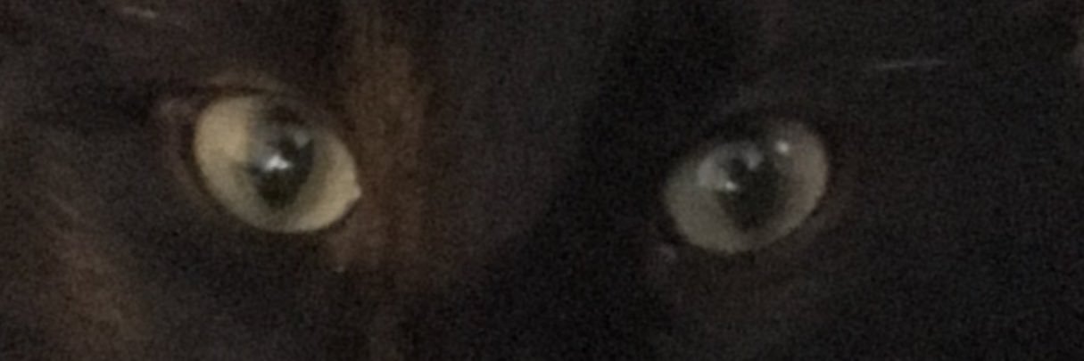Maygofaygo's profile banner image