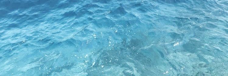 summer_visitor's profile banner image
