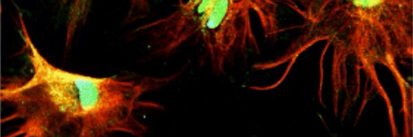 LACrompton80 Profile Banner