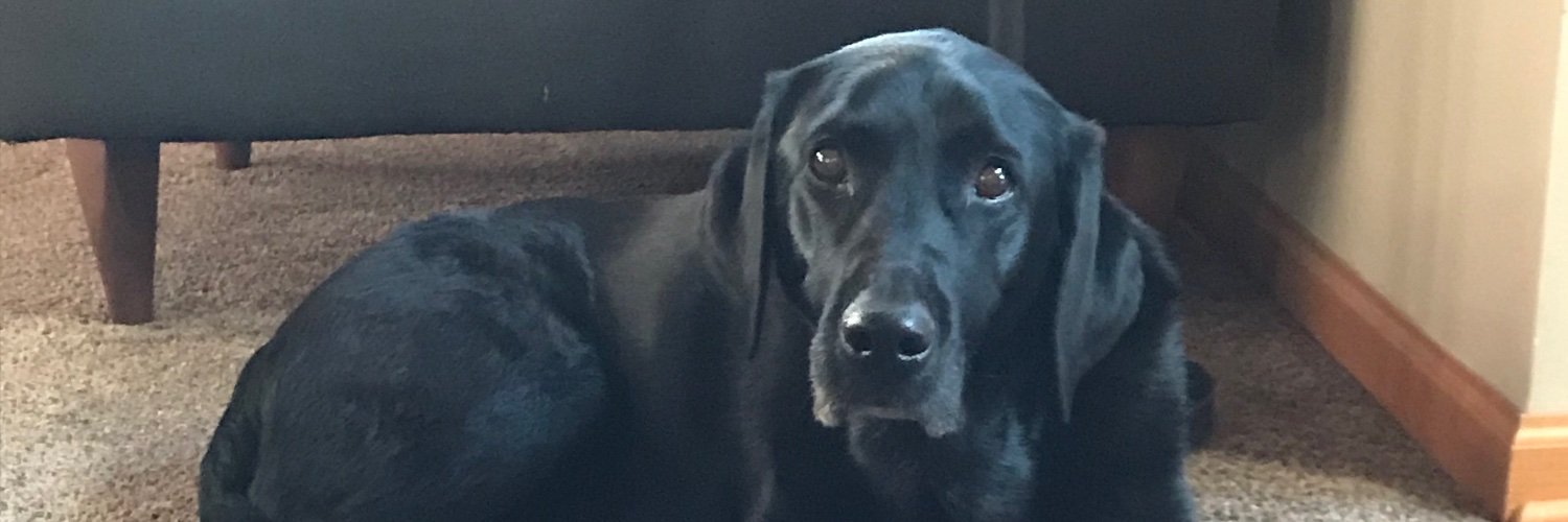 ronnjilljack's profile banner image