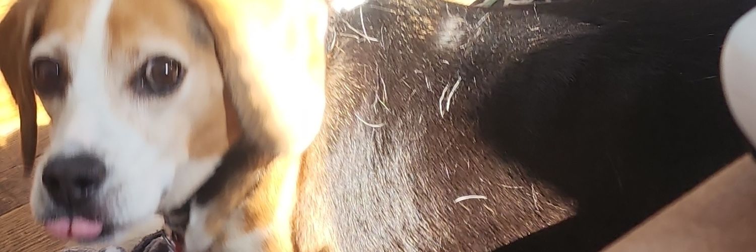 Drickiii3's profile banner image
