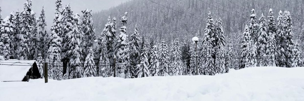doja95's profile banner image