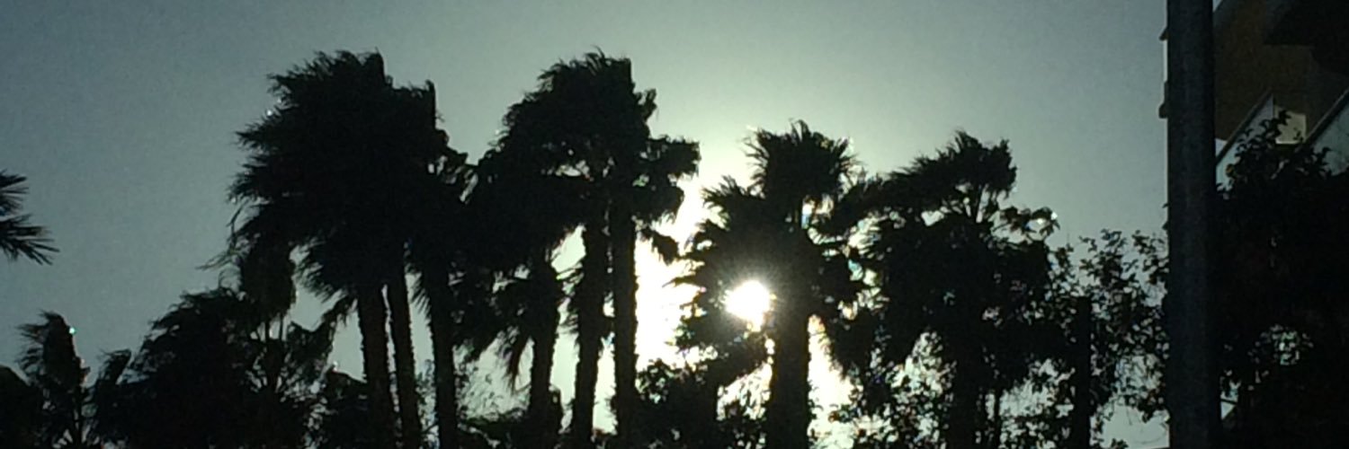 calzone___'s profile banner image