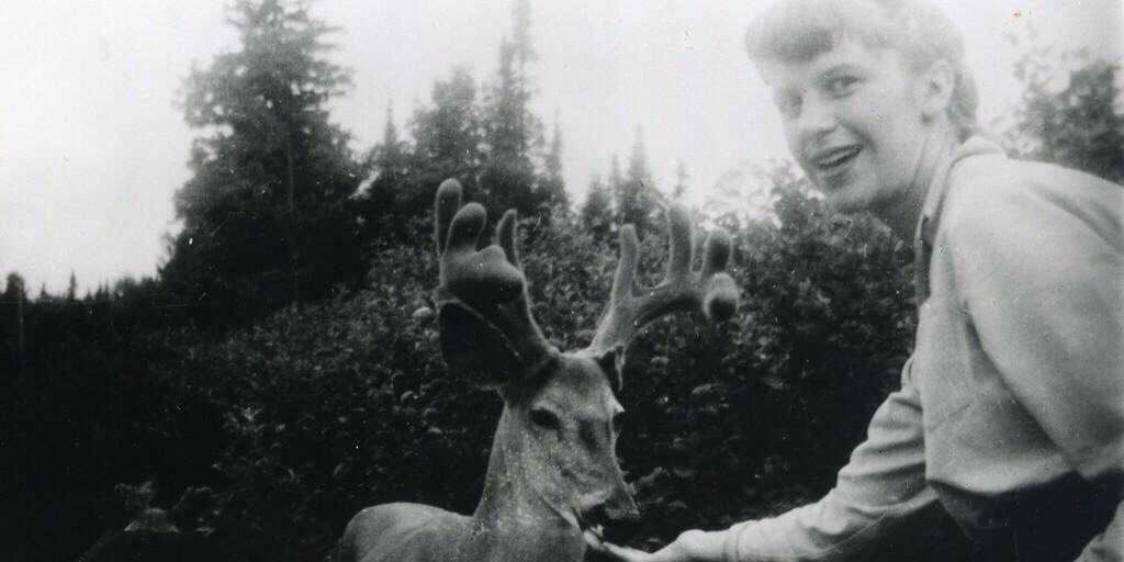wall_fl0wers's profile banner image