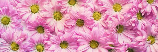 Nahid35661487 Profile Banner