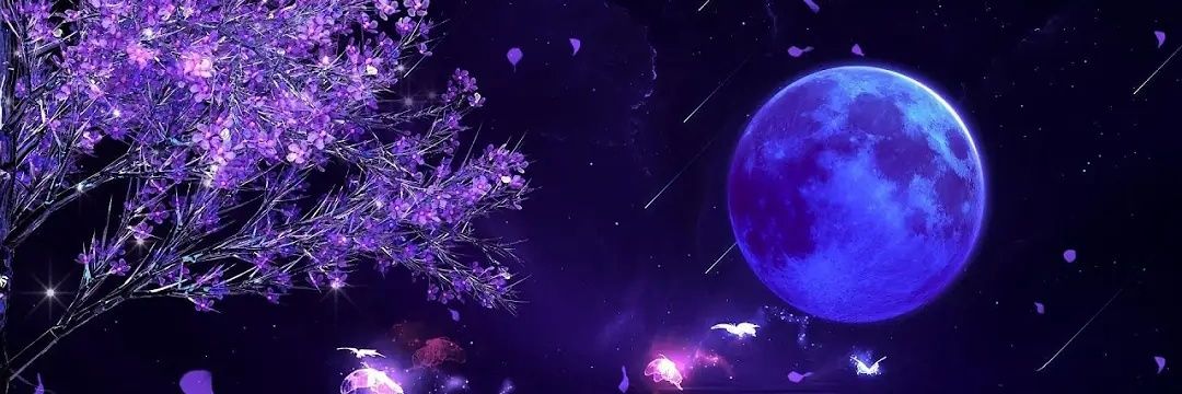 Juanrosillon's profile banner image