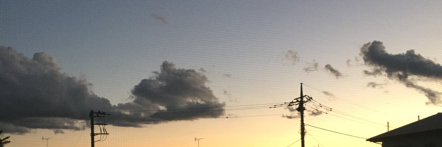 tsurudotcom's profile banner image