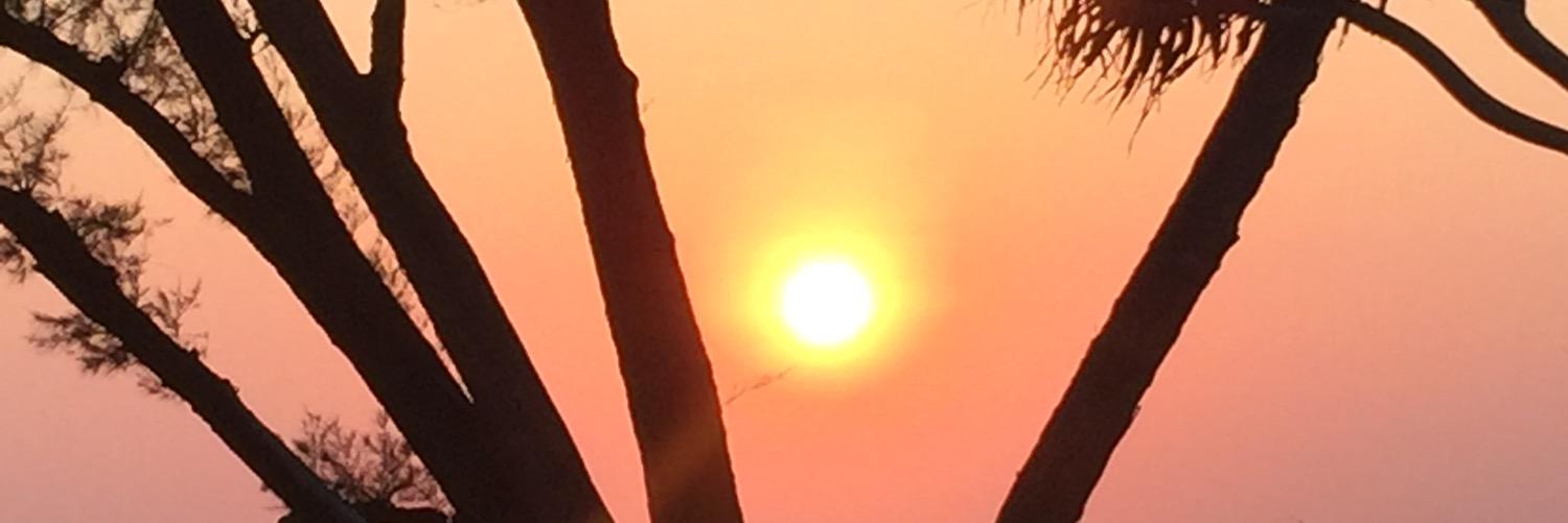JanisWilliams13's profile banner image