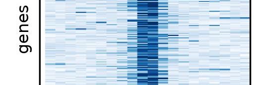 Alex Hall Hickman banner