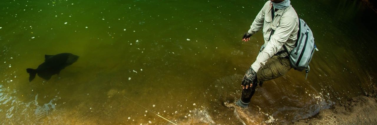 Untamed Angling banner